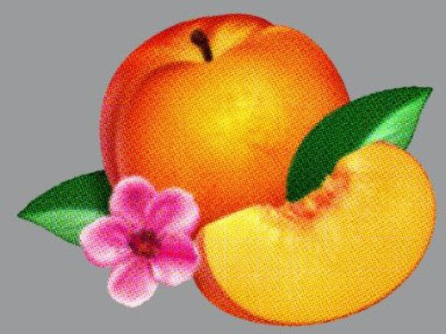 2162724_714fd0f3-4b2a-4a21-956c-70080ea94a5d